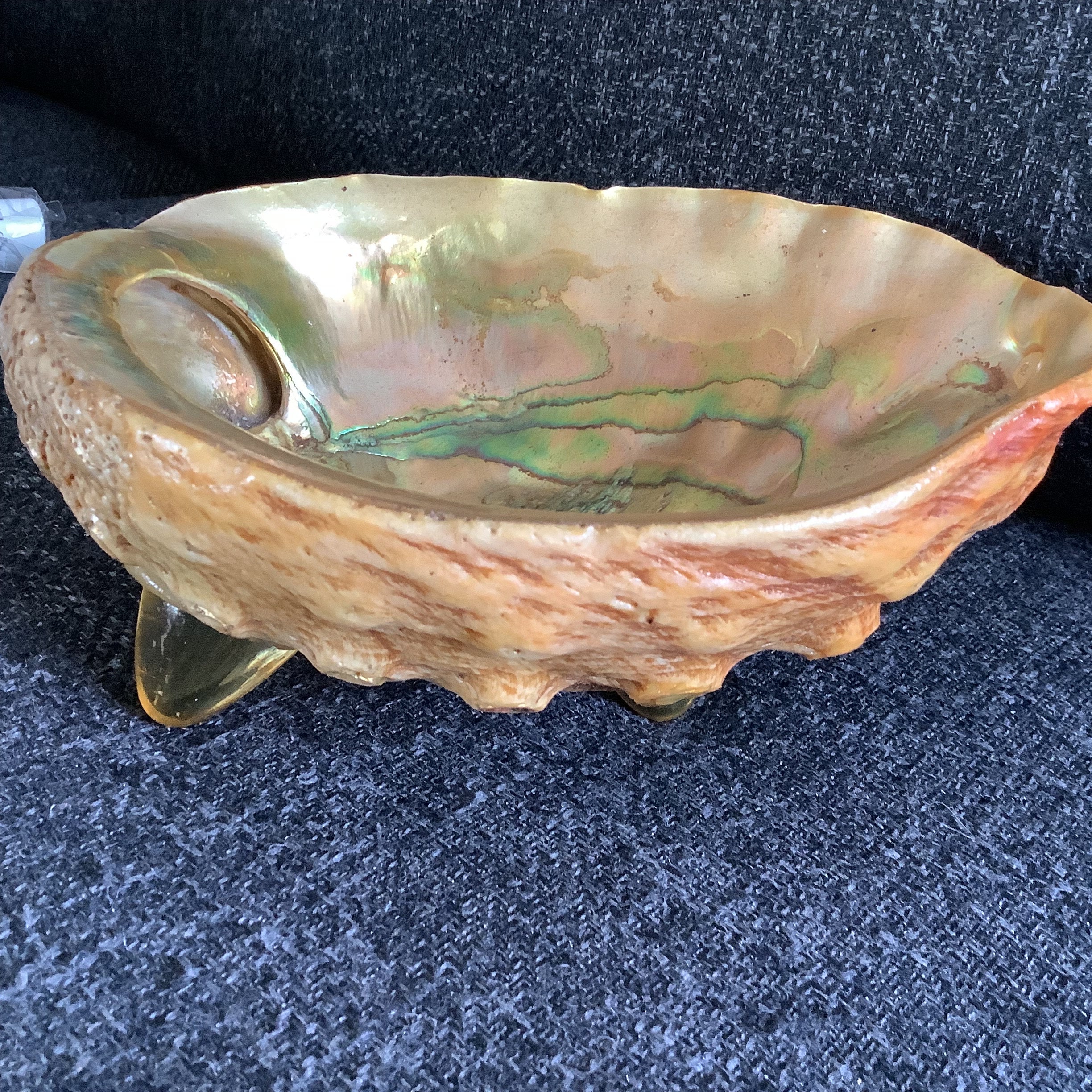 Abalone Shell Soap Dish