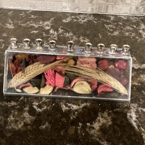 Anat Brigg Hand made Judaica Israel Stained Glass Floral Menorah / Menorah Collection/ Israel Menorah