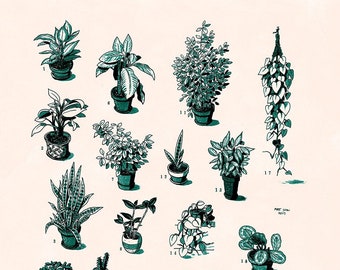 All My Plants - art print