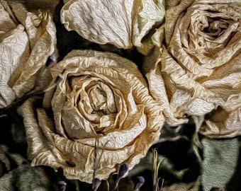 Floral Canvas Print: Waxen Withered Roses
