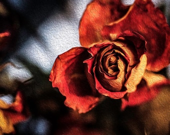 Rose Canvas Print: Abstract Floral Wall Art