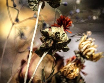 Whispers: Floral Still Life Canvas Print