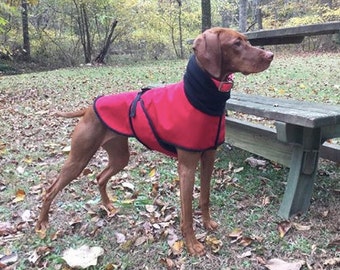 vizsla jumper