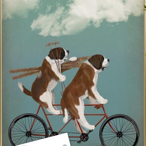 St Bernard Art Print, Funny Dog Tandem Bicycle Artwork