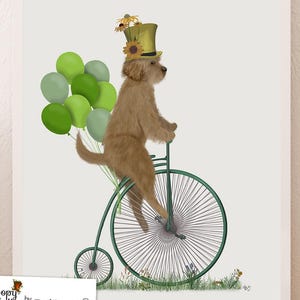 Gold Labradoodle Art Print, Funny Goldendoodle Wall Art with Penny Farthing Bicycle