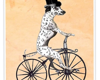 Dalmatian Art Print, Spotty Dog on a Bicycle, Bike Lovers Cycling Wall Art