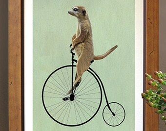 Meerkat Penny Farthing Bicycle - dorm room decor home office wall art funny office art leaving present cute animal art boys nursery art