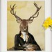 see more listings in the Deer/Moose/Stags section