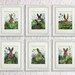 Kitchen Decor Wall - Cabbage Patch Rabbit 6 - Country Kitchen Decor ...