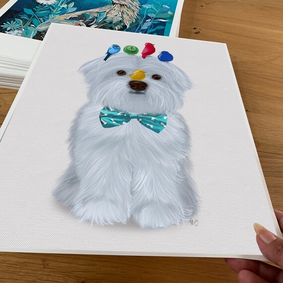 Maltese Dog Quadro Su Tela Stampe Da Parete Decorazioni Da Parete Disegno Canvas Stampa Su Tela Pittura Poster Da Parete Di Arte Per Soggiorno Camera Da Letto Corridoio Bar 16x24inch(40x60cm