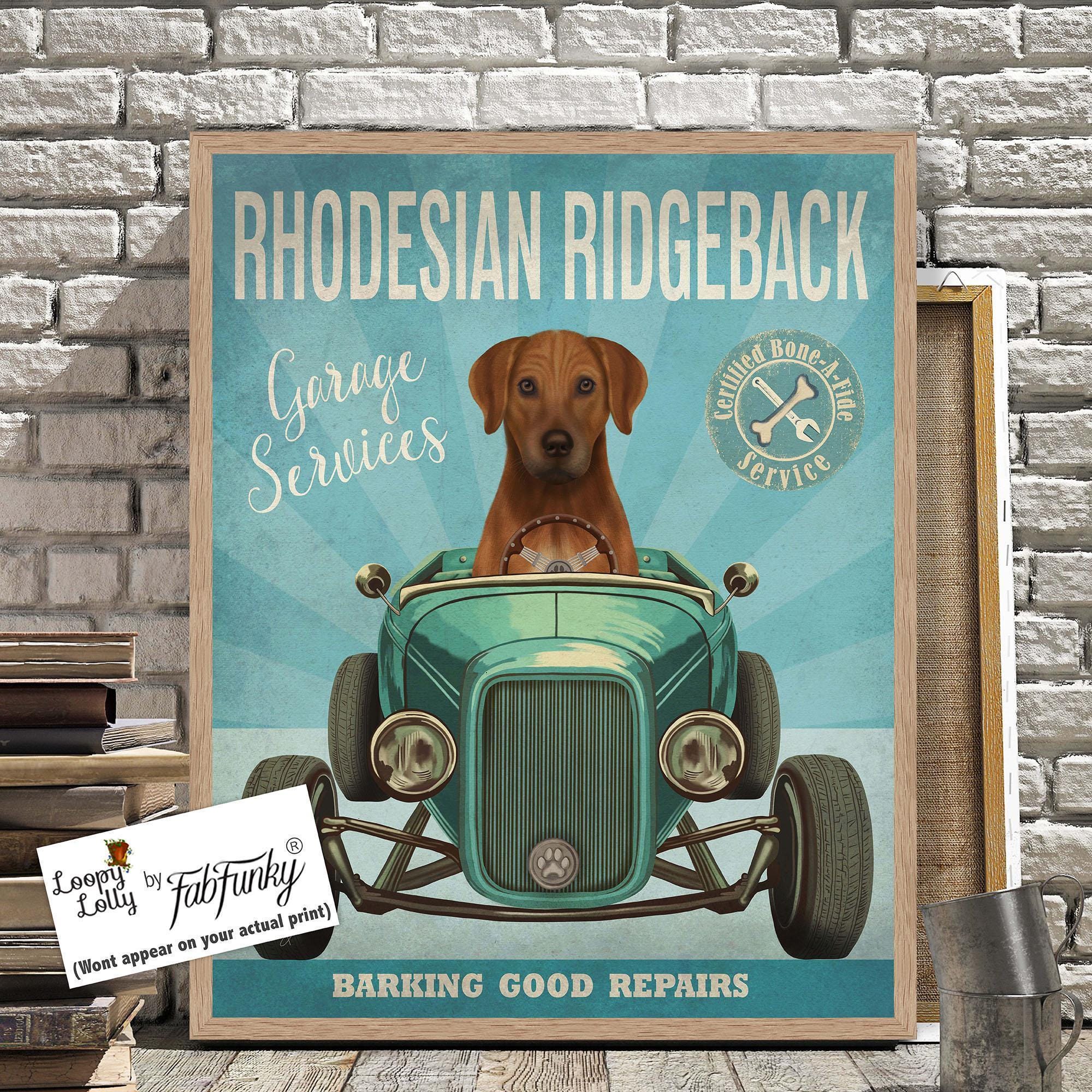 Rhodesian Ridgeback Art Print: Funny Dog in Hot Rod Car - Etsy
