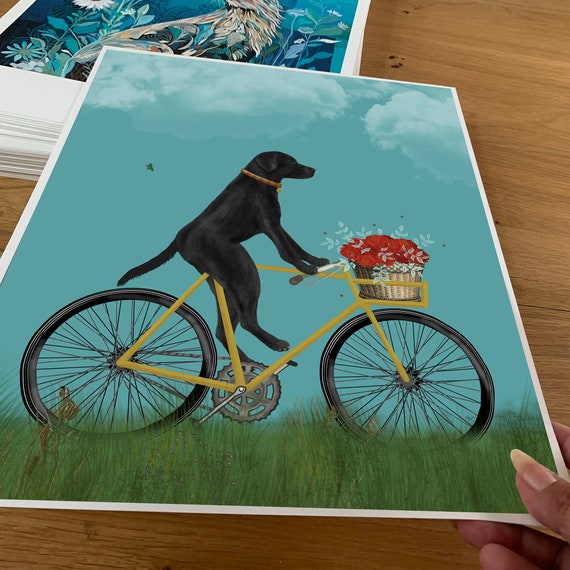 Blue dog bicycles sale