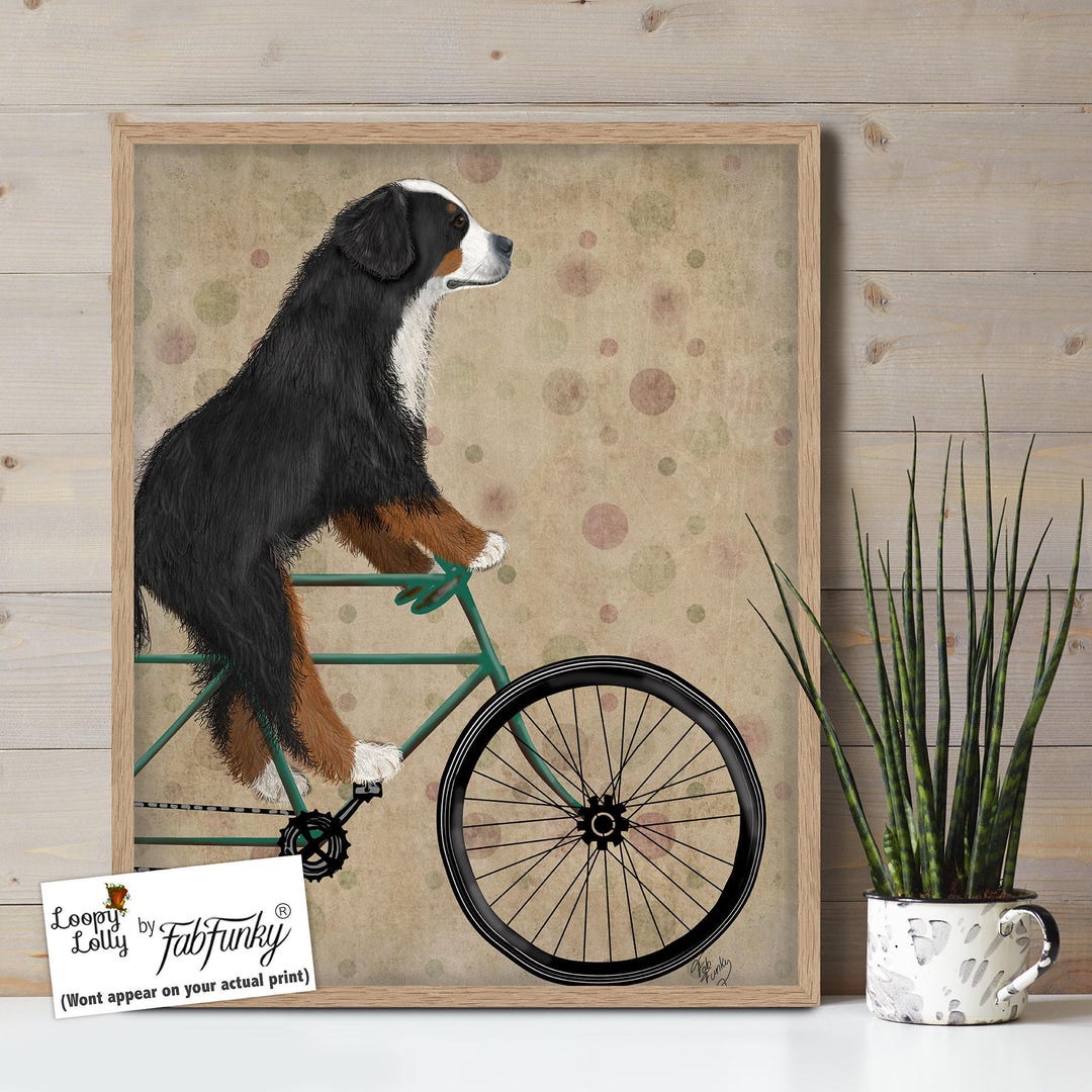 Dog Riding Bike In The Mountain Bernese Dog Art Bernese Mountain
