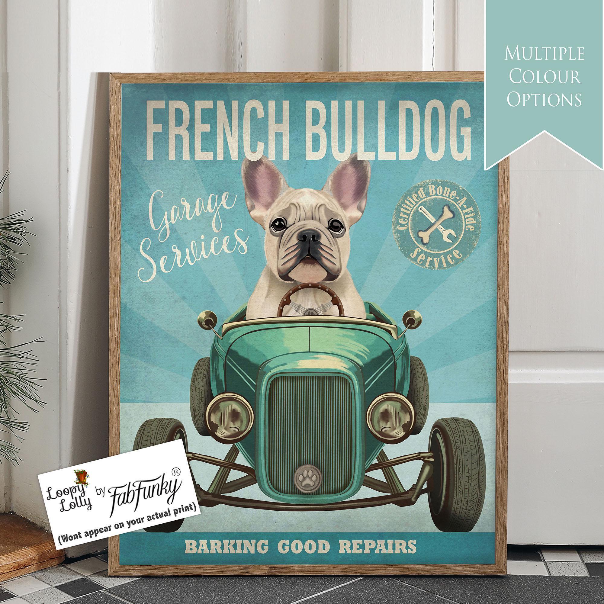 French Bulldog Picture, White , Funny Dog in a Hot Rod Car