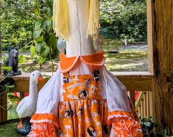 Goose-leader Football/ Tennessee Vols Dress for Your Porch Goose