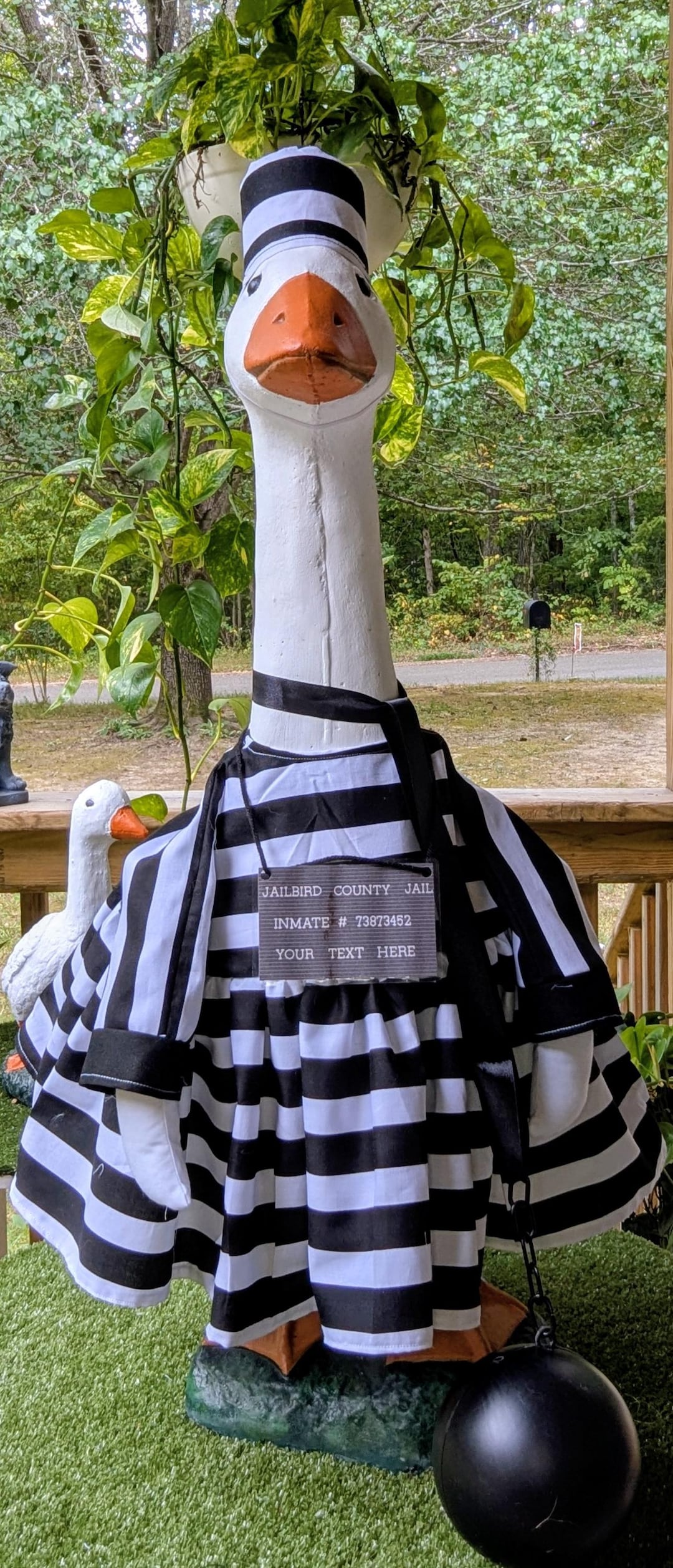 dress up goose Halloween Costume for a Porch Goose/jail Bird/ Customizable Inmate Sign inspired costume turns your SIZE:7 cement porch goose corazon Self-Portrait Blue Lace Tie