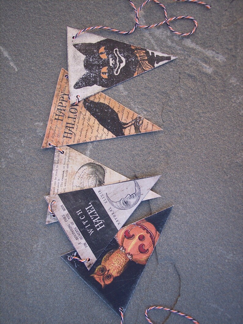 May include: A Halloween banner with six triangular flags. The flags are decorated with vintage illustrations of a black cat, a raven, a crescent moon, an owl, a pumpkin, and the text "Happy Hallow", "A Bewitching Cure for Ailments of the Body", "Witch Hazel", and "Natural Elixir".