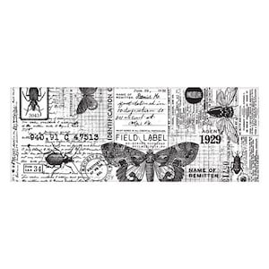May include: Black and white vintage style digital paper with a butterfly, beetle, and text that reads "Identification C", "Field Label", "June 29, 1932", "Name of Remitter Daniel No.", "Agent 1929", and "Enclosure".