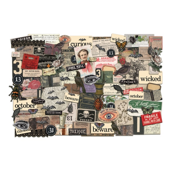 Tim Holtz idea-ology Ephemera Pack, "Halloween", 114 Pieces, Vintage Inspired Assemblage, Collage and Papercrafts, Tim Holtz Halloween 2022
