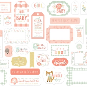 Echo Park Paper Co. It's a GIRL Collection Frames & Tags, 33 Die Cut Cardstock Pieces, Baby Theme Scrap and Papercraft, Baby Paper Tags