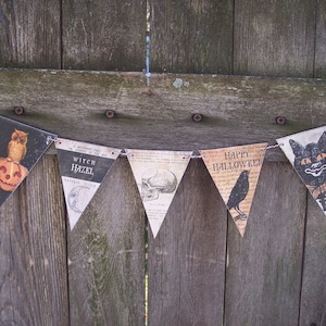 May include: A Halloween banner with five triangular flags. The flags feature images of an owl, a witch hazel plant, a skull, a raven, and a black cat. The text on the flags reads "Witch Hazel", "Happy Halloween", and "A History of the Witch."