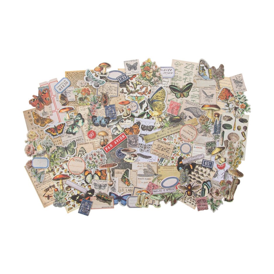 Tim Holtz Idea-ology Accoutrements Buttons - Vintage Style Plastic Embellishments For Crafts (9-Pack)