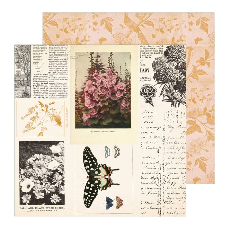 May include: A collage of vintage botanical illustrations and text. The collage features a black and white image of a butterfly, a pink flower, a black and white image of a plant, and a handwritten note. The text includes the words "FALKLAND ISLAND WOOD SORREL", "HOLBROOK FALLING BELLS", and "IAM".