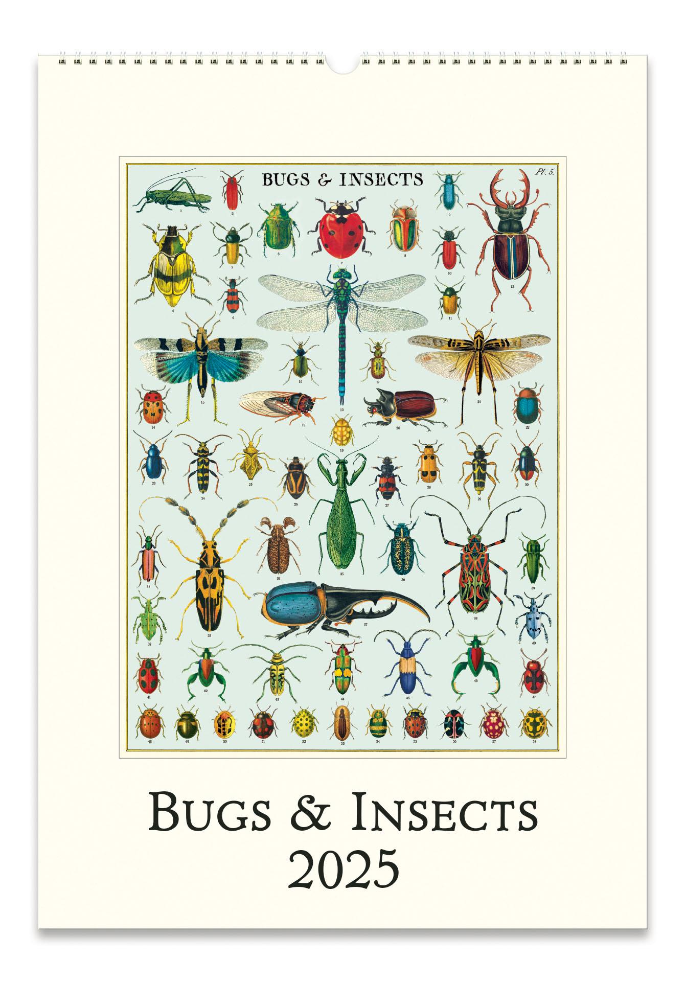 Wall Calendar Bugs - Etsy wall-calendar-bugs-etsy