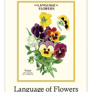 Cavallini & Co. 2026 Wall Calendar, Language of Flowers/Japanese Woodblocks/Paris/Entomology, 2026 Wall Calendar, Frame-worthy/Crafting