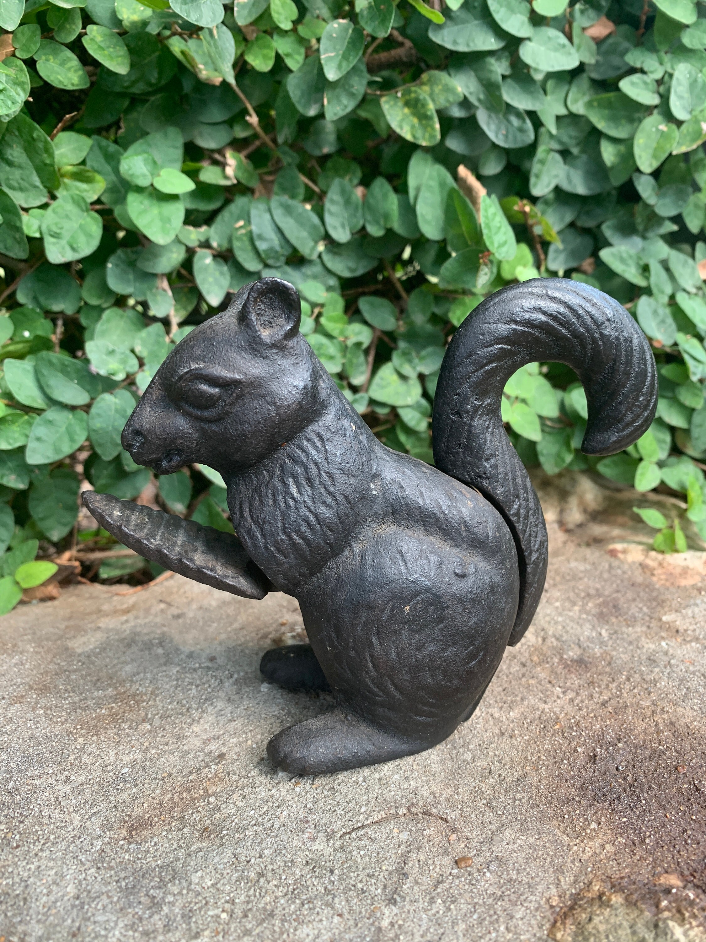 Pecan Cracker for sale Only 4 left at 60