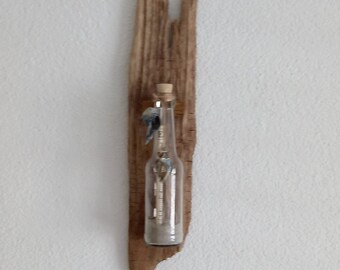 Driftwood - Picture ~ Message in a Bottle III ~