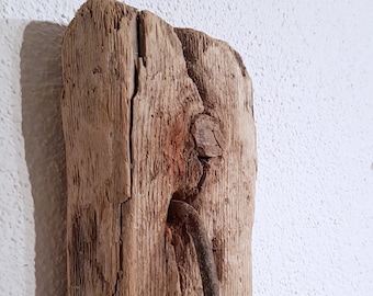 Wood & Spike ~ Driftwood Sculpture