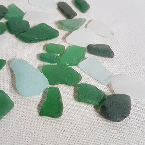 Sea glass in white & green 32 pieces image 3