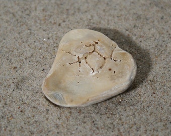 Broche - N° I de coquille de la mer du Nord, trouvaille de plage