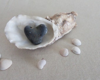 Twin mussel oysters with stone heart