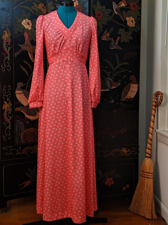 1970s maxi dress