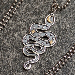 Sterling Silver Serpent Talisman Charm Pendant Necklace image 1