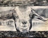 Very detailed black and white goat animal painted in oil on canvas varnished