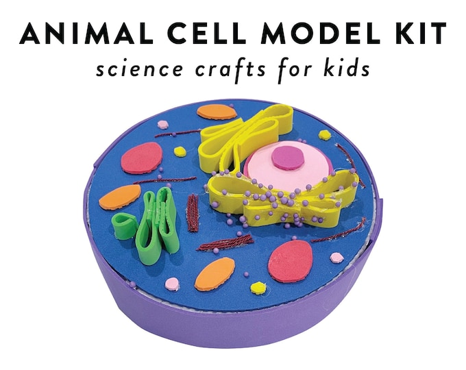 Animal Cell Model Kit, STEM Activity for Kids, DIY Homeschool Science
