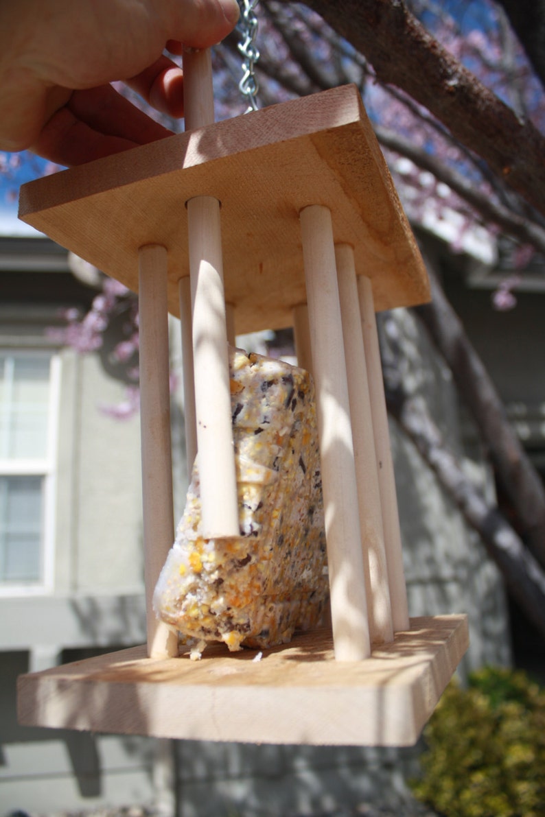 Spring Time Suet Bird Feeder made from Cedar Wood Etsy