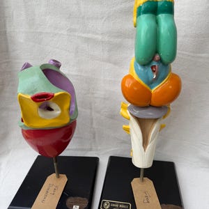 May include: Two anatomical frog dissection models mounted on black rectangular bases. The left model shows internal organs in red, yellow, and purple. The right model shows the frog's lower body in green, yellow, and orange. Both have paper tags.