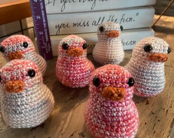 Hand Crocheted Ducks (set of 6)