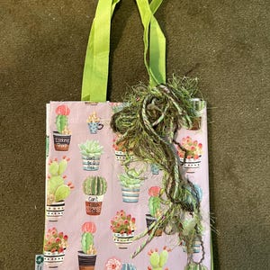 May include: A light pink tote bag with a repeating pattern of potted cacti and succulents. The bag has bright green handles and a decorative bundle of twine and dried plant material. The bag has text that reads "Looking Sharp" and "Can't Touch This".