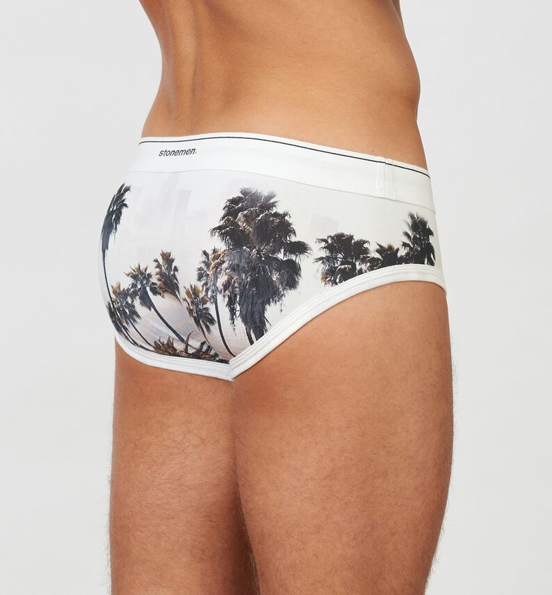 Men/'s Cotton Brief Underwear L.A Palms Print
