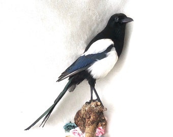 magpie stuffed animal