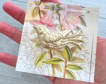 Bird Intaglio Acrylic Block Art, Vintage Illustration, Gold Trim