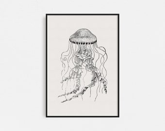 Jellyfish Print / Vintage Jellyfish Print / Nautical Print / Vintage Nautical Print / Jellyfish Wall Art