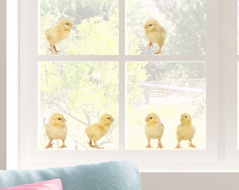 Little chick window stickers, Easter window sticker, chick window decoration, Easter animal window sticker, Spring window sticker