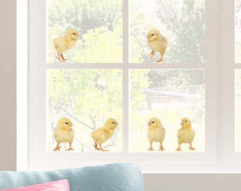Chick window stickers, Easter window sticker, chick window decoration, Easter animal window sticker, Spring window sticker, Little Chicks