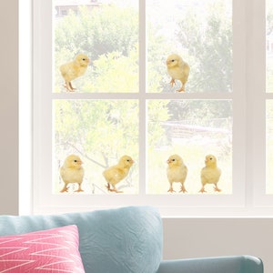 Chick window stickers, Easter window sticker, chick window decoration, Easter animal window sticker, Spring window sticker, Little Chicks